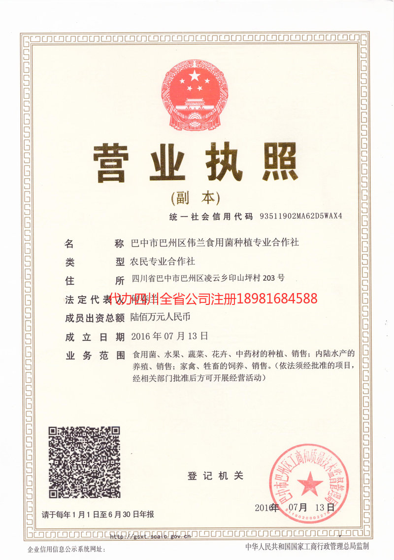 罗江罗江伟兰食用菌种植专业合作社